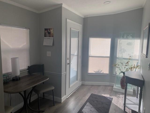 Property Photo: 417 Dolphin Drive S FL 34677
