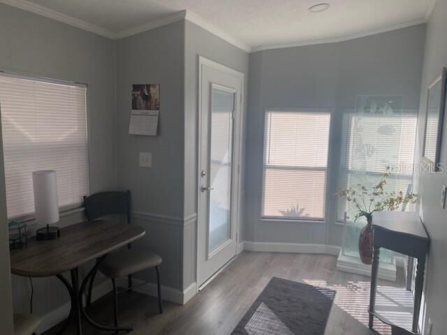 Property Photo:  417 Dolphin Drive S  FL 34677 