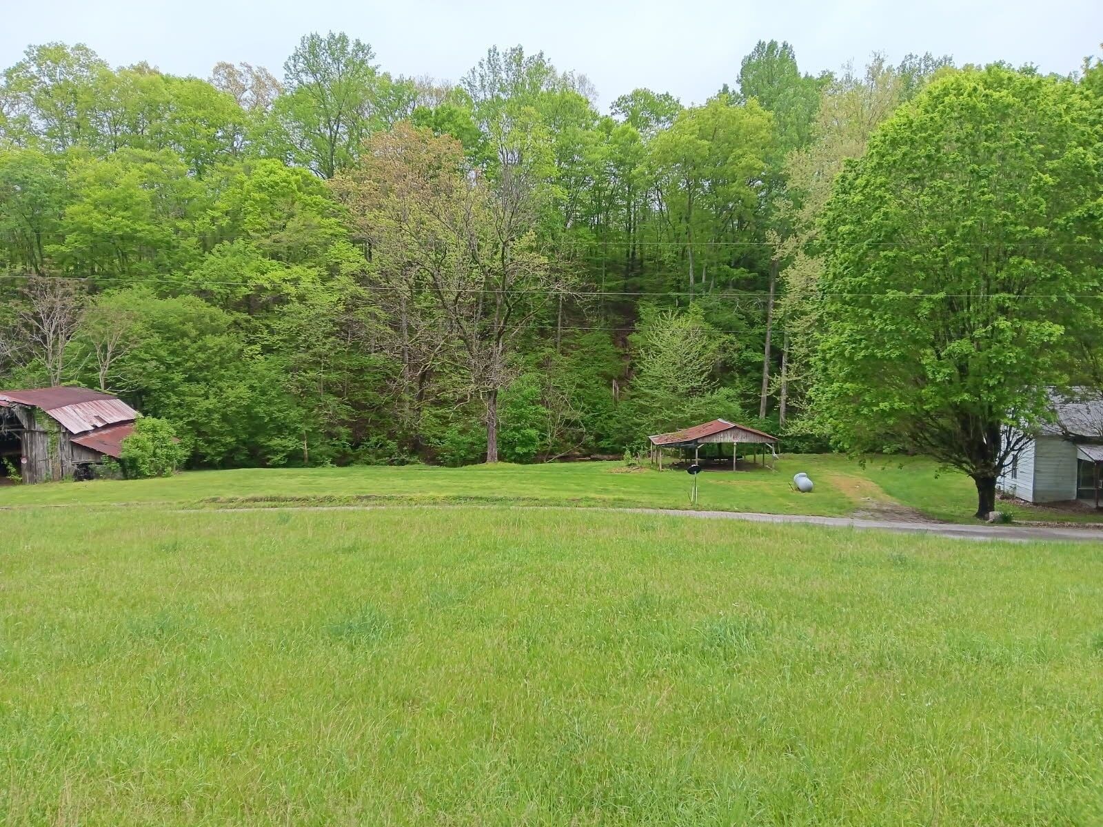 Property Photo:  2073 Choates Creek Rd  TN 38464 