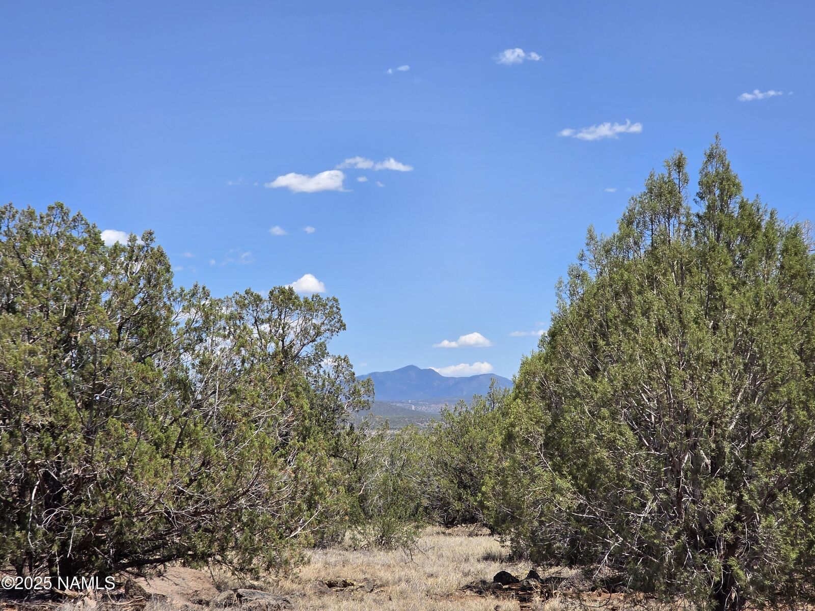 Property Photo:  1804 N Francis Lane  AZ 86046 