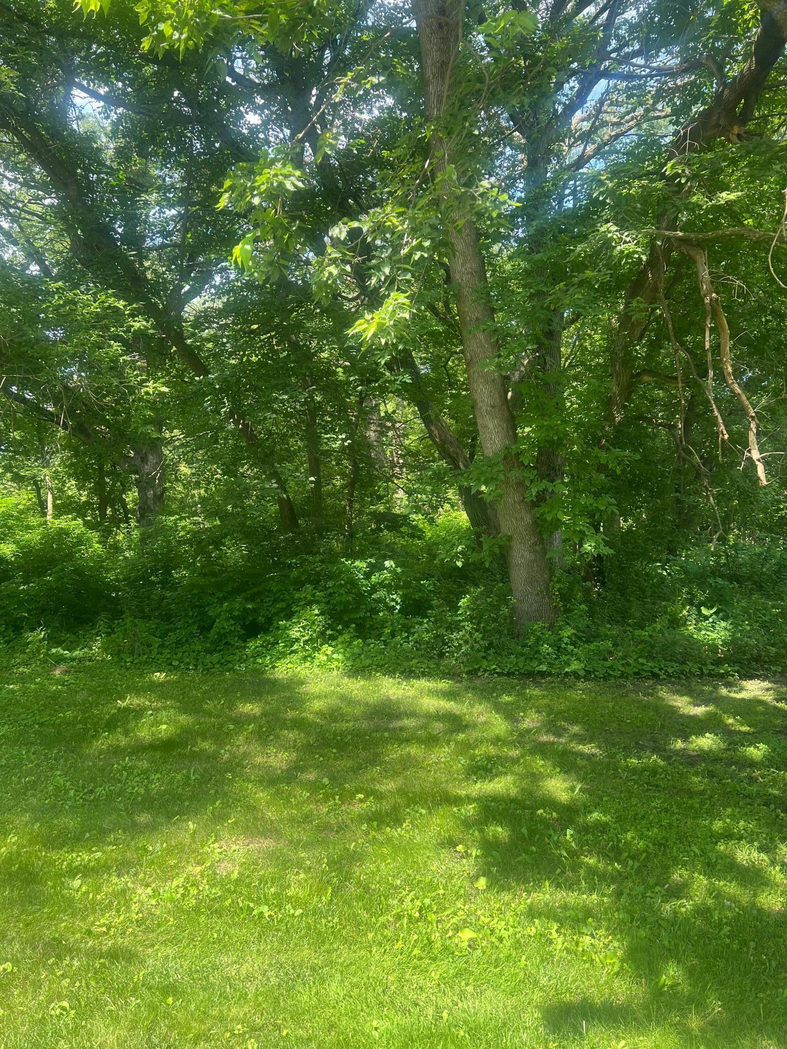 Property Photo: Tbd Lot 1 Envelope 1 Baycrest Road MN 56334