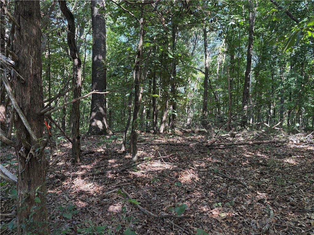 Arabian Drive Lot 184  Rogers AR 72756 photo