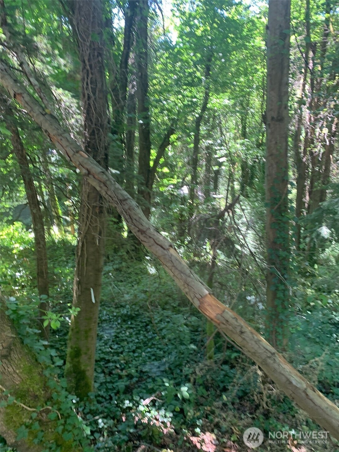 Property Photo: 9167 SE 64th Street WA 98040