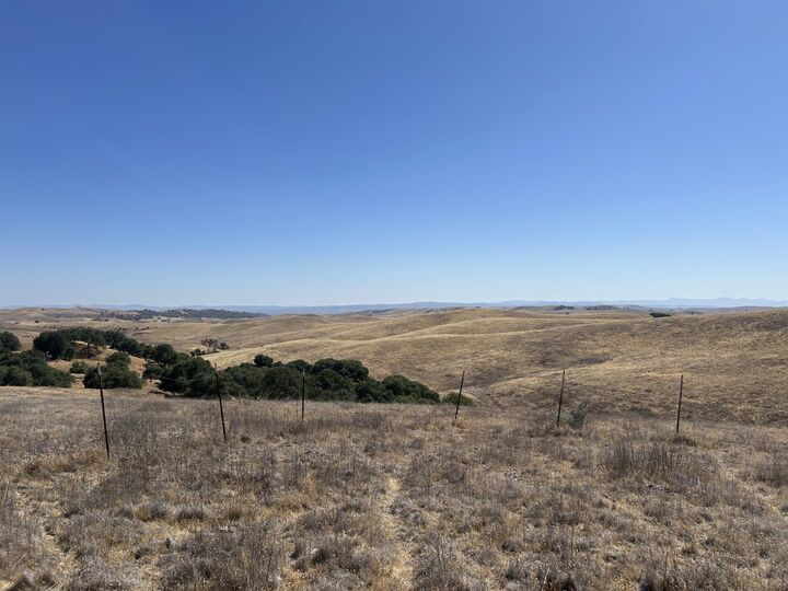 Property Photo: 0 Pine Avenue CA 93451