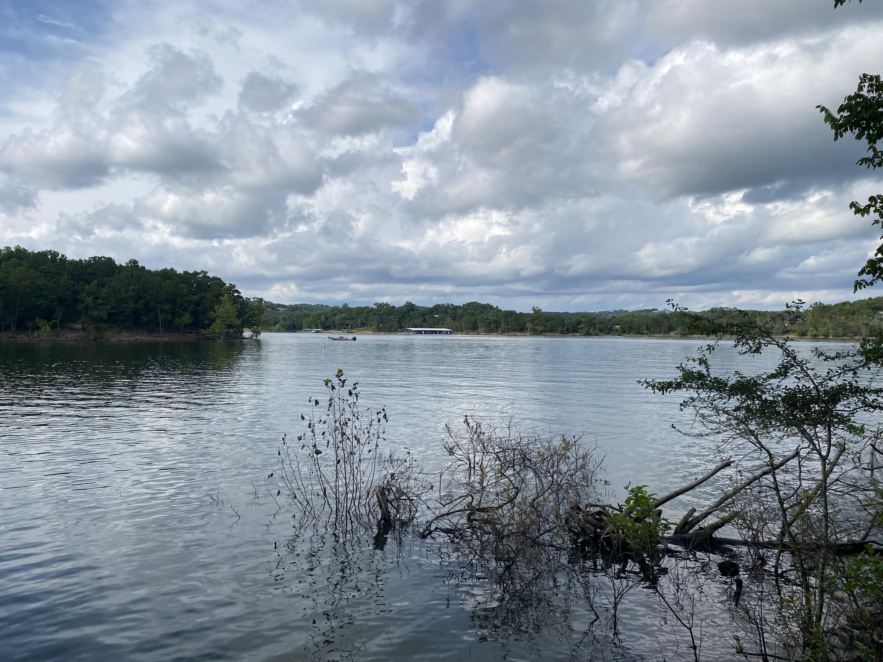 Property Photo: 000 Wooley Creek Road MO 65624