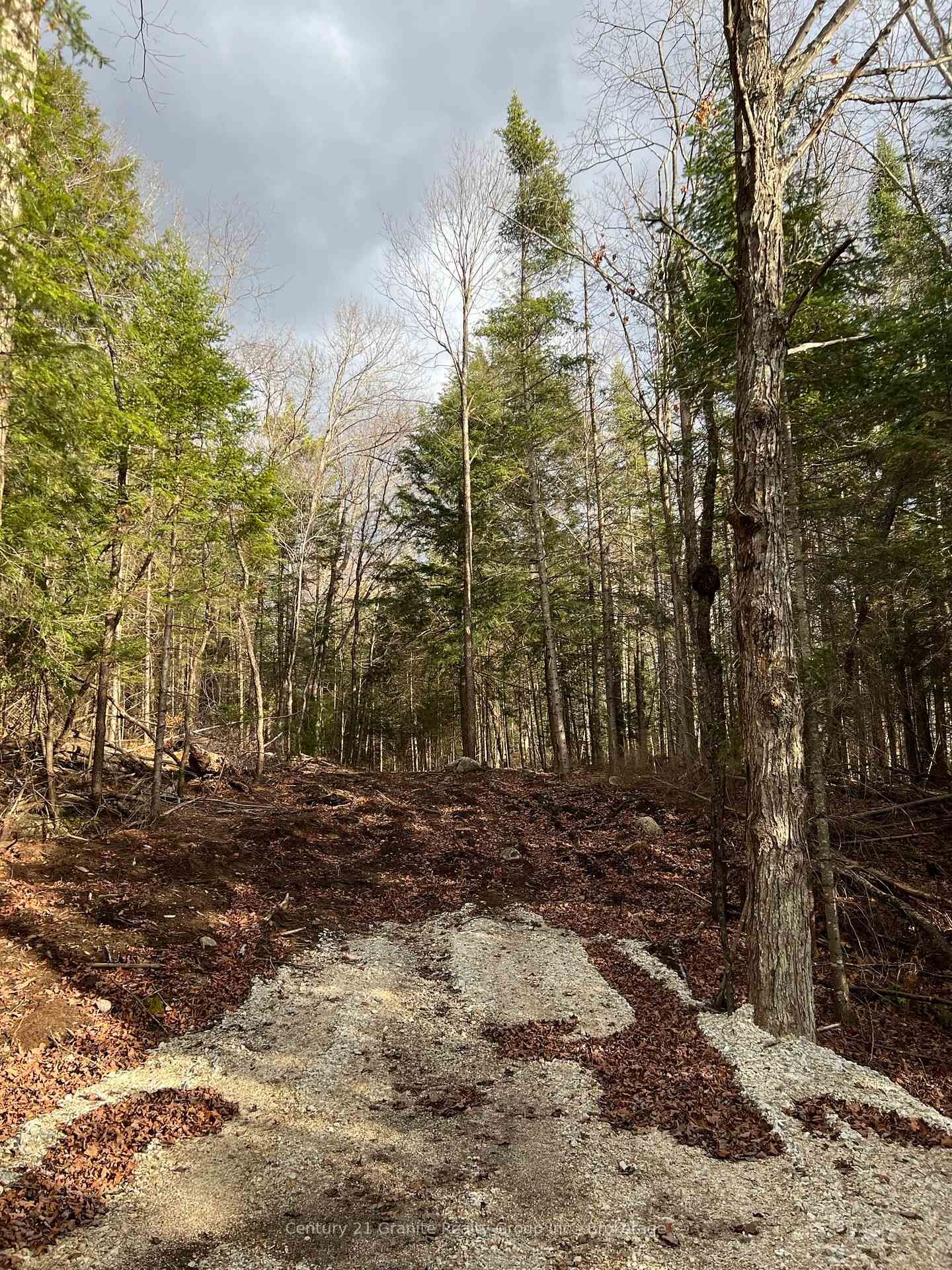 Photo de la propriété:  Lot 27 Bushwolf Lake Road  ON K0M 1S0