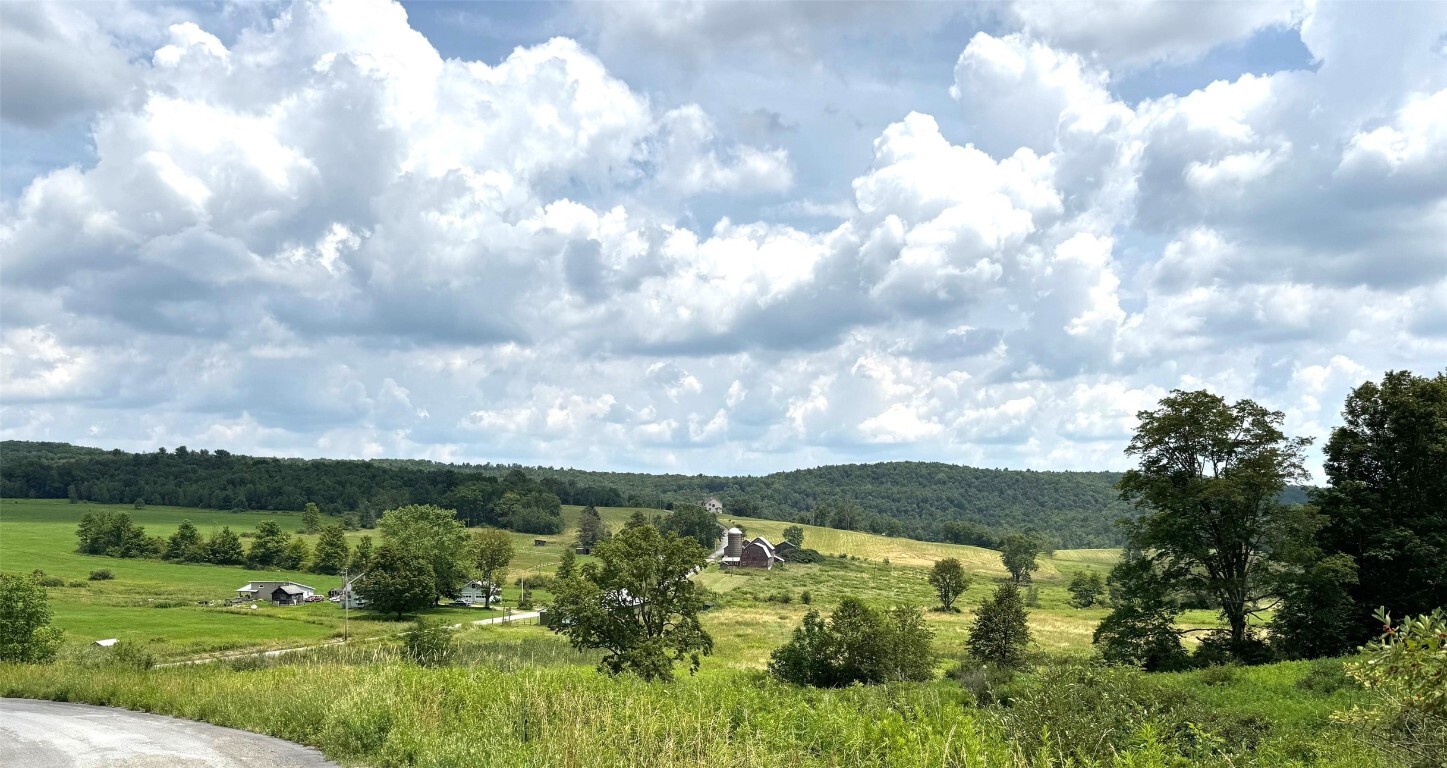 Property Photo:  129 McAllister Road  NY 13865 