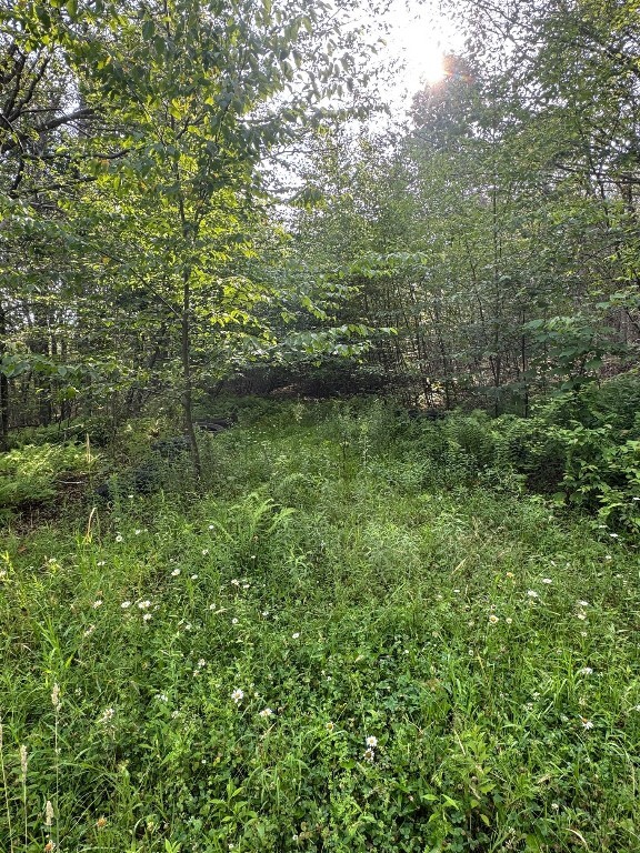 264 E Bosket Road  Windsor NY 13865 photo