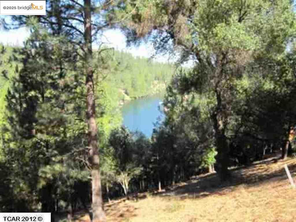 Property Photo: 20158 Pine Mountain CA 95321