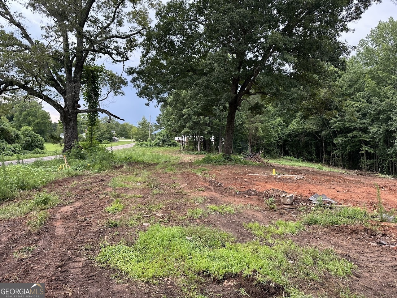 Property Photo: 3182 County Road 61 AL 36274