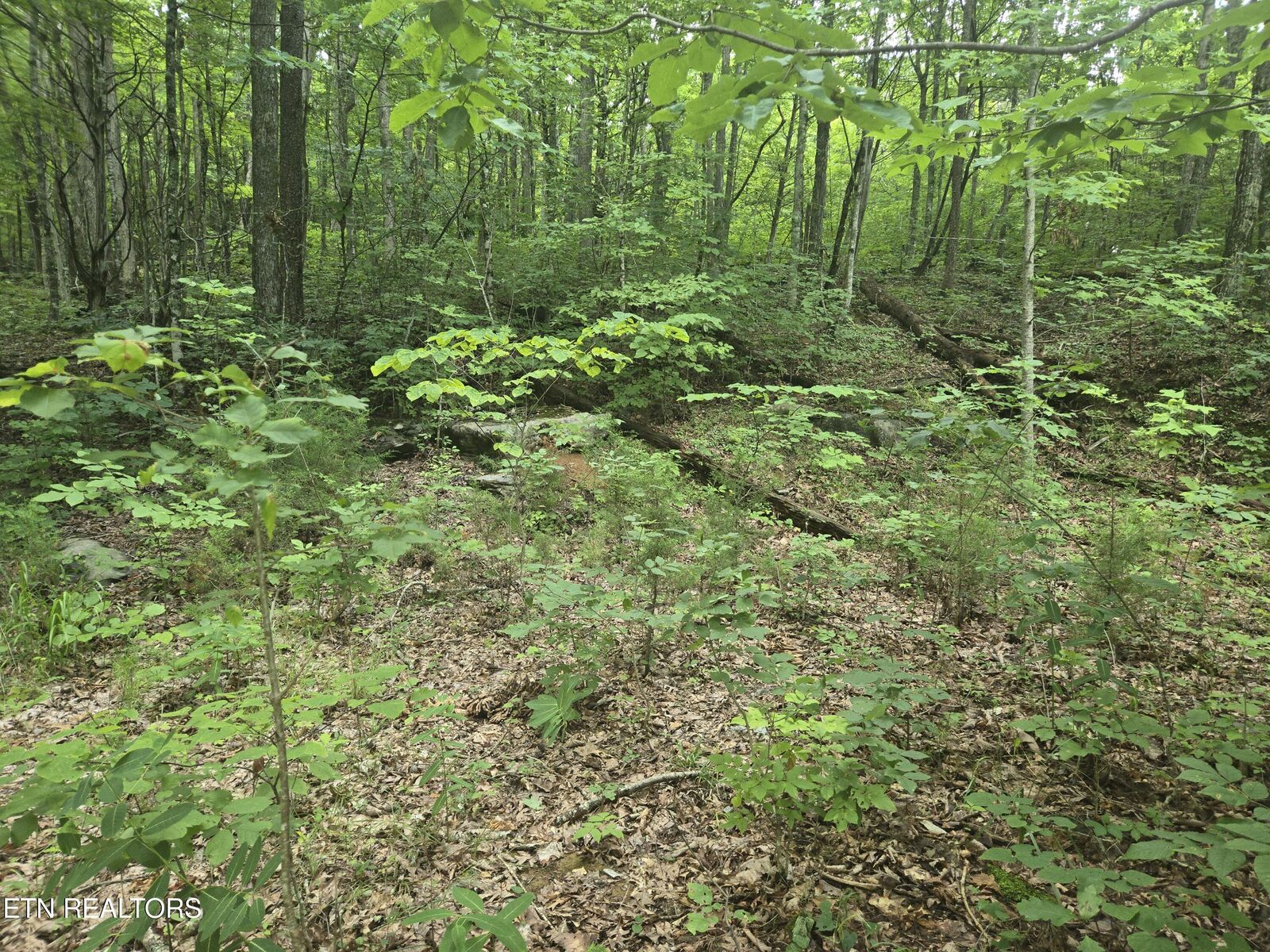 Property Photo: Prospect Rd TN 37869