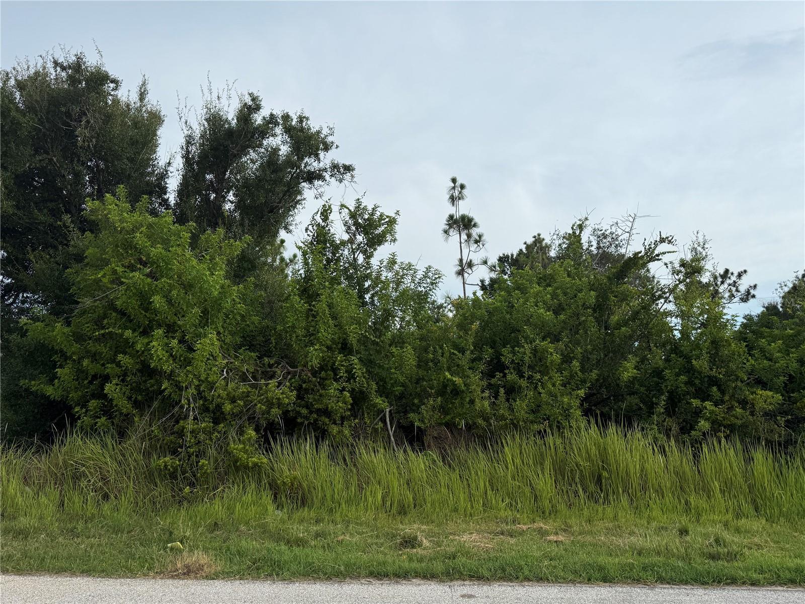 Property Photo: 9491 Tacoma Avenue FL 34224