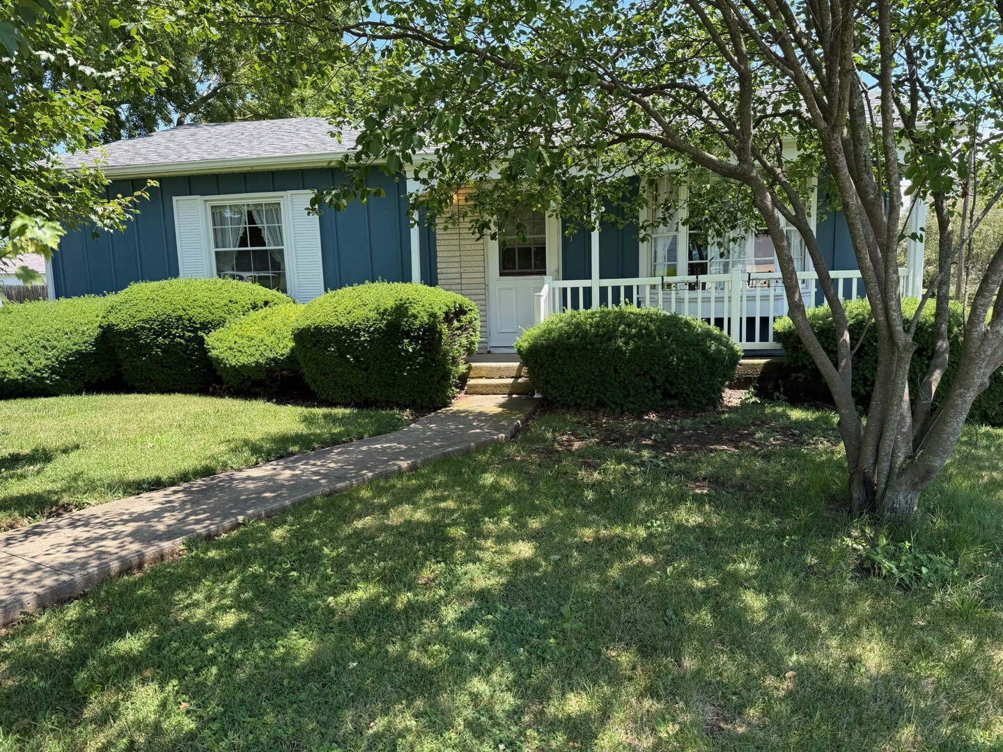 Property Photo: 225 S Iowa Street IL 61329
