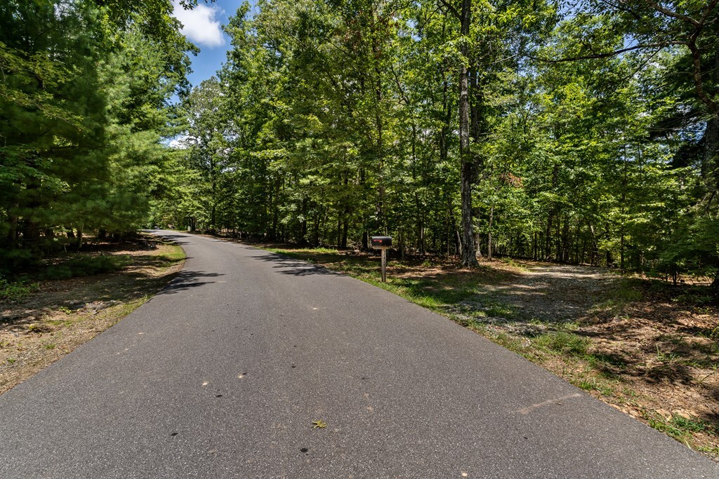 Property Photo: 346 Mission Ridge Drive NC 28904