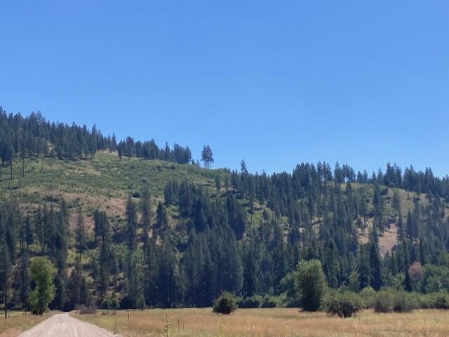 Property Photo: 25xx Hall Creek Rd WA 99138