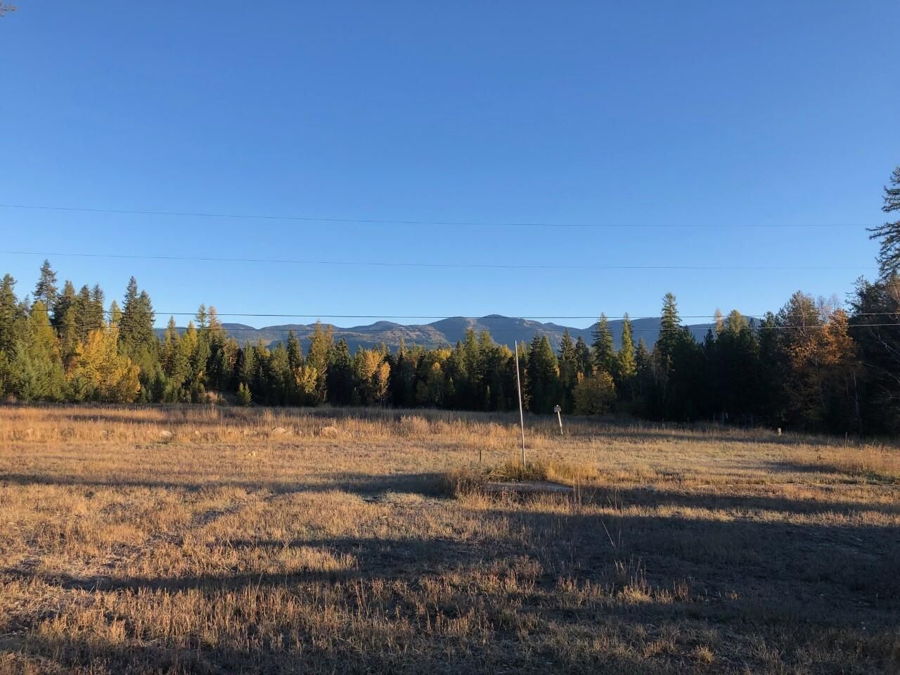 270 Lake Park Lane  Whitefish MT 59937 photo