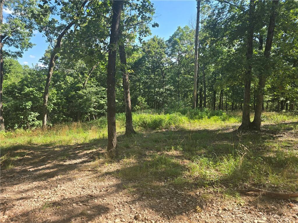 Property Photo:  Esculapia Hollow Road Lot 6  AR 72758 
