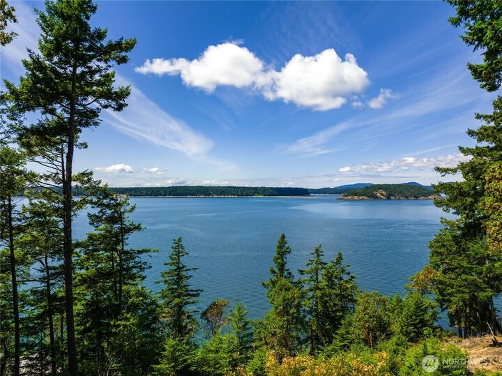 Property Photo:  0 Ec-19  East Cove Road  WA 98221 