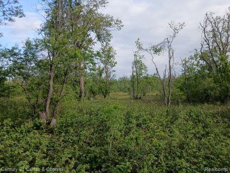 Property Photo: 0000 Finnegan Rd, MI 49751
