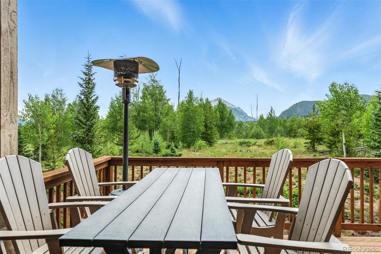 Property Photo:  60 Black Diamond Trail 60D  CO 80498 
