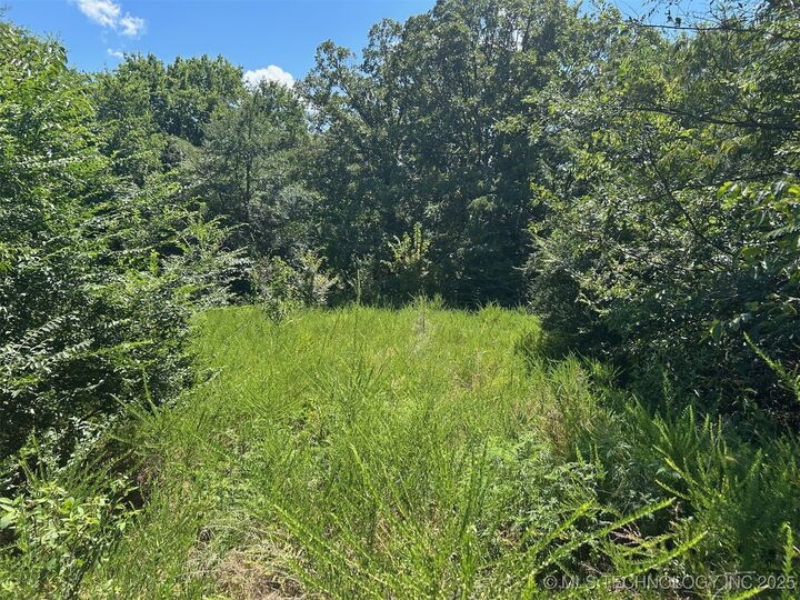 Cottonwood Road  Roland OK 74954 photo