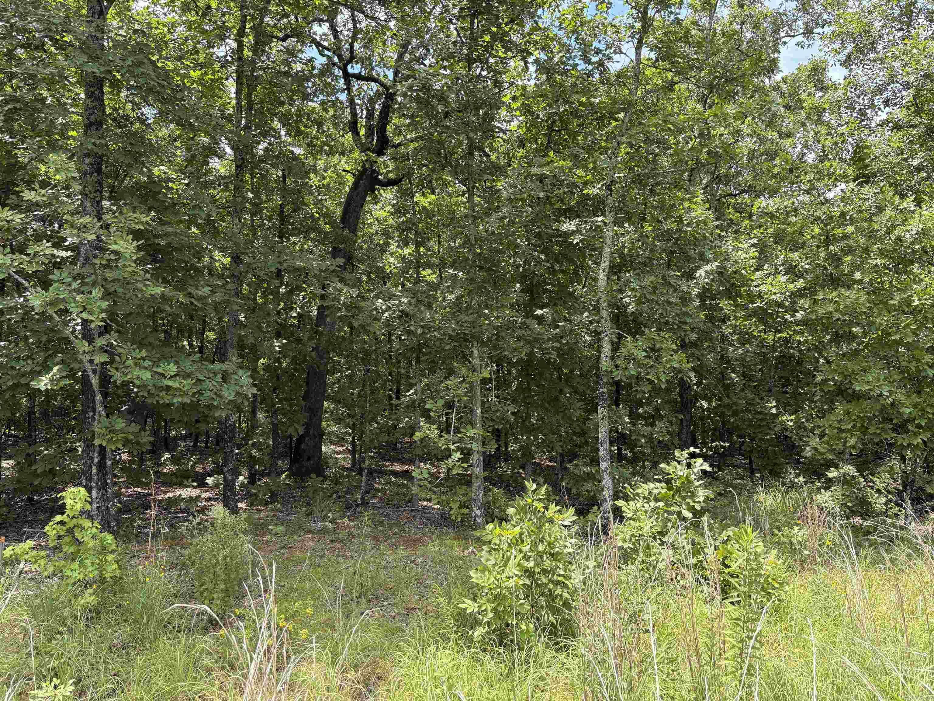 Property Photo: