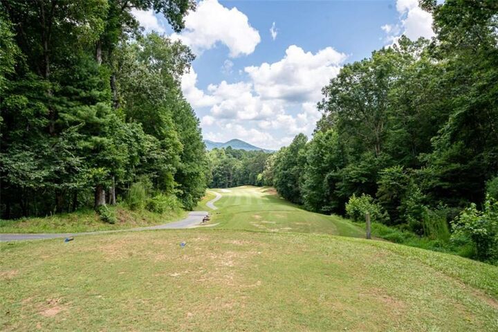 Property Photo:  15 Tallulah Court  GA 30540 