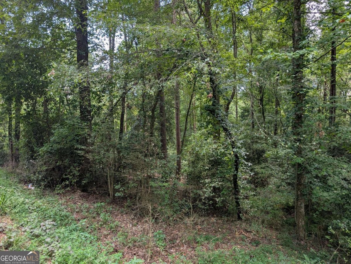 Property Photo: Lot 194 Shenendoa Drive GA 30540
