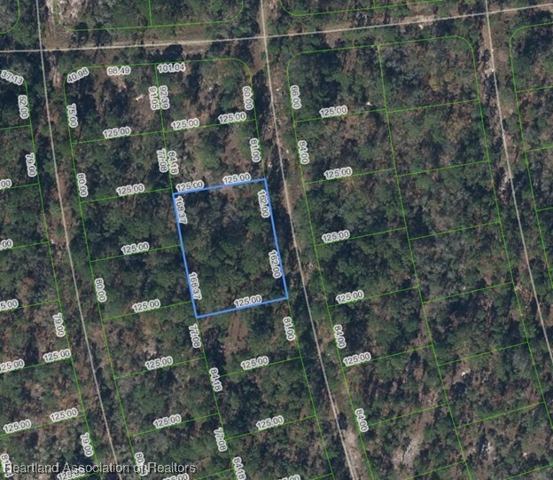 Property Photo: 212 Sentimental Drive FL 33852