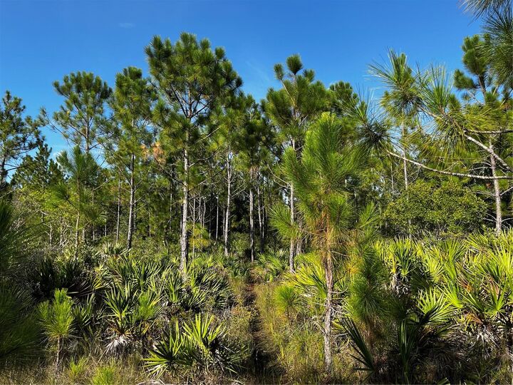 Property Photo: 50204 Bermont Road FL 33982