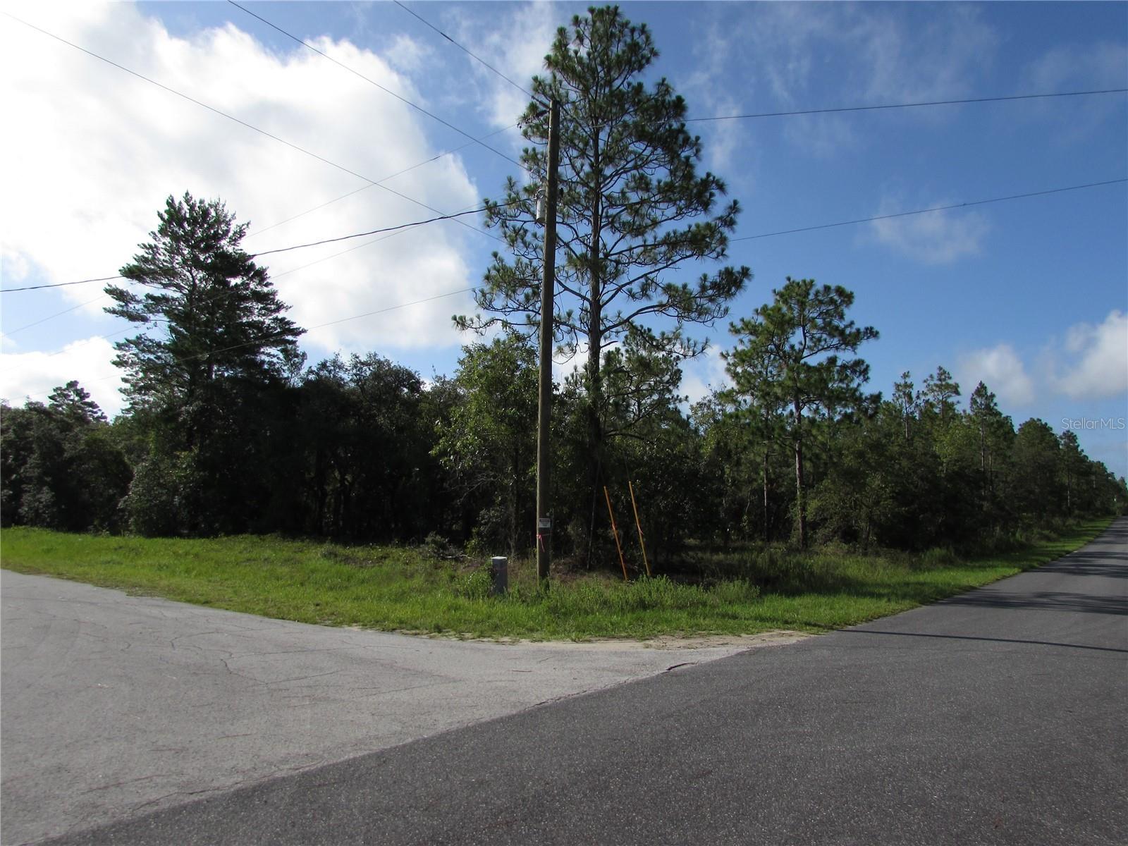 Property Photo: Lot 26 SE 136 Terrace FL 34431