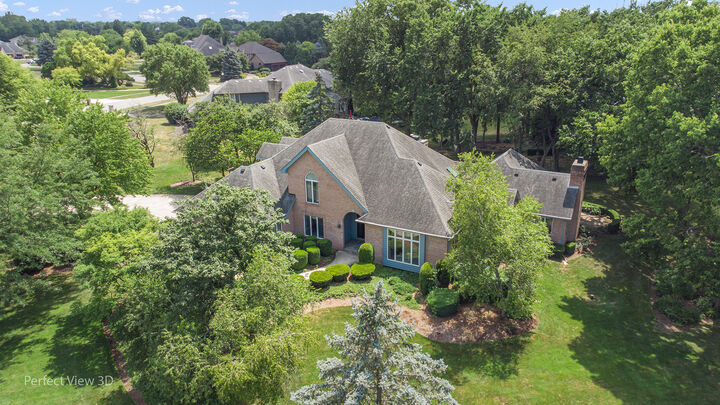 17201 S Caitlin Court  Plainfield IL 60586 photo