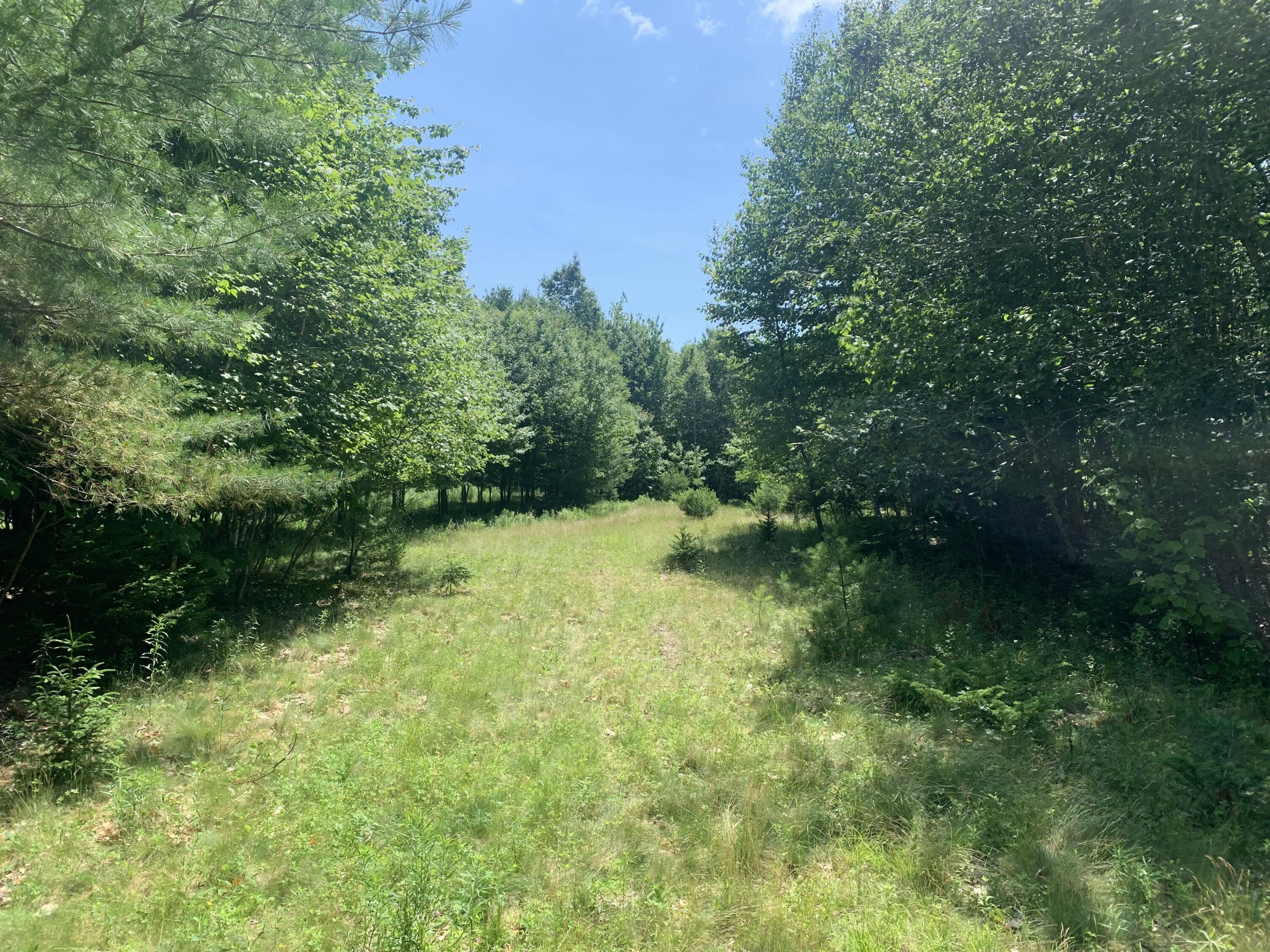 Property Photo: Lot 1 & 2 Richardson Road ME 04474