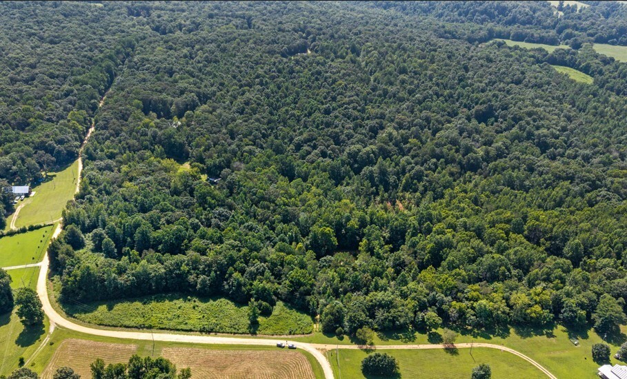 Property Photo: 0 Tracy Lane TN 38454