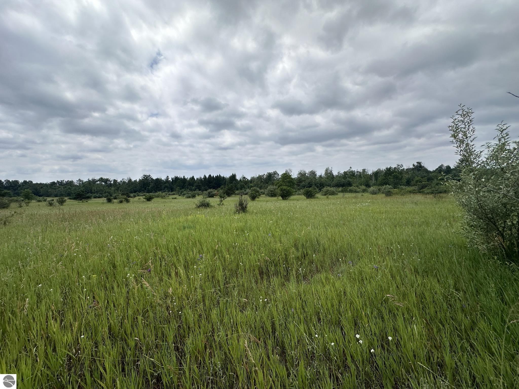 Property Photo: 0 S M-88 MI 49615