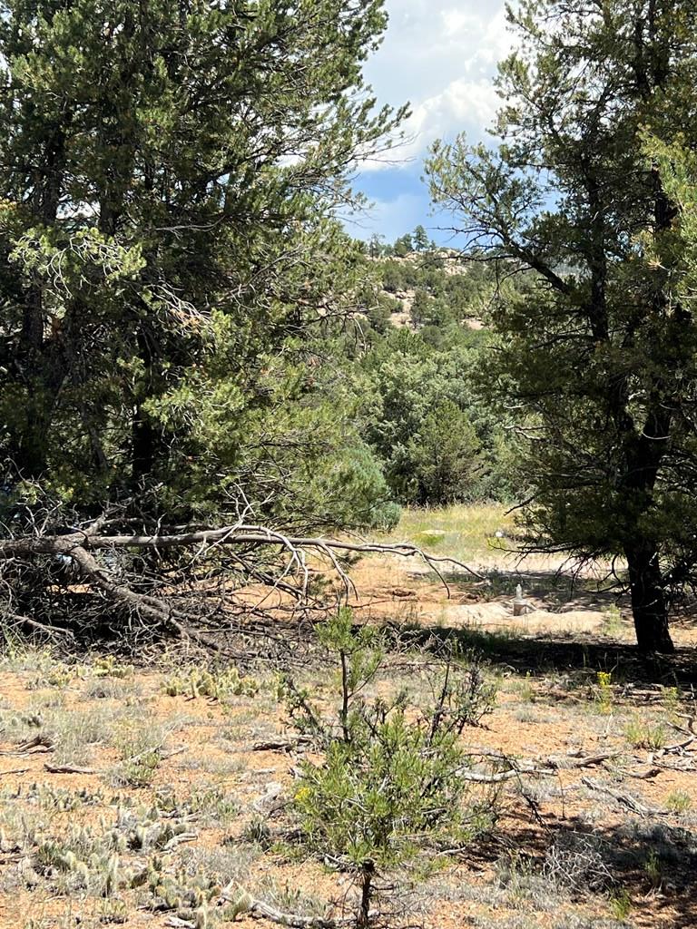 Property Photo:  216 Westview Rd  CO 81223 