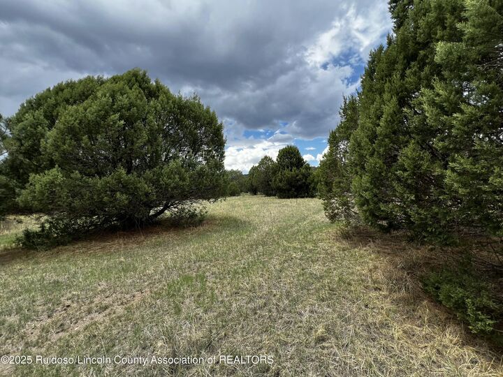 Property Photo:  Lot 154 Antler Drive  NM 88312 