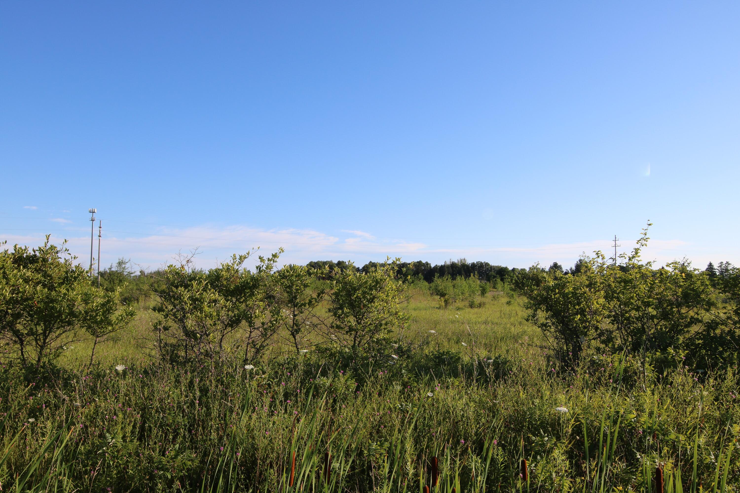 Property Photo:  506 Stempky Street  MI 49721 