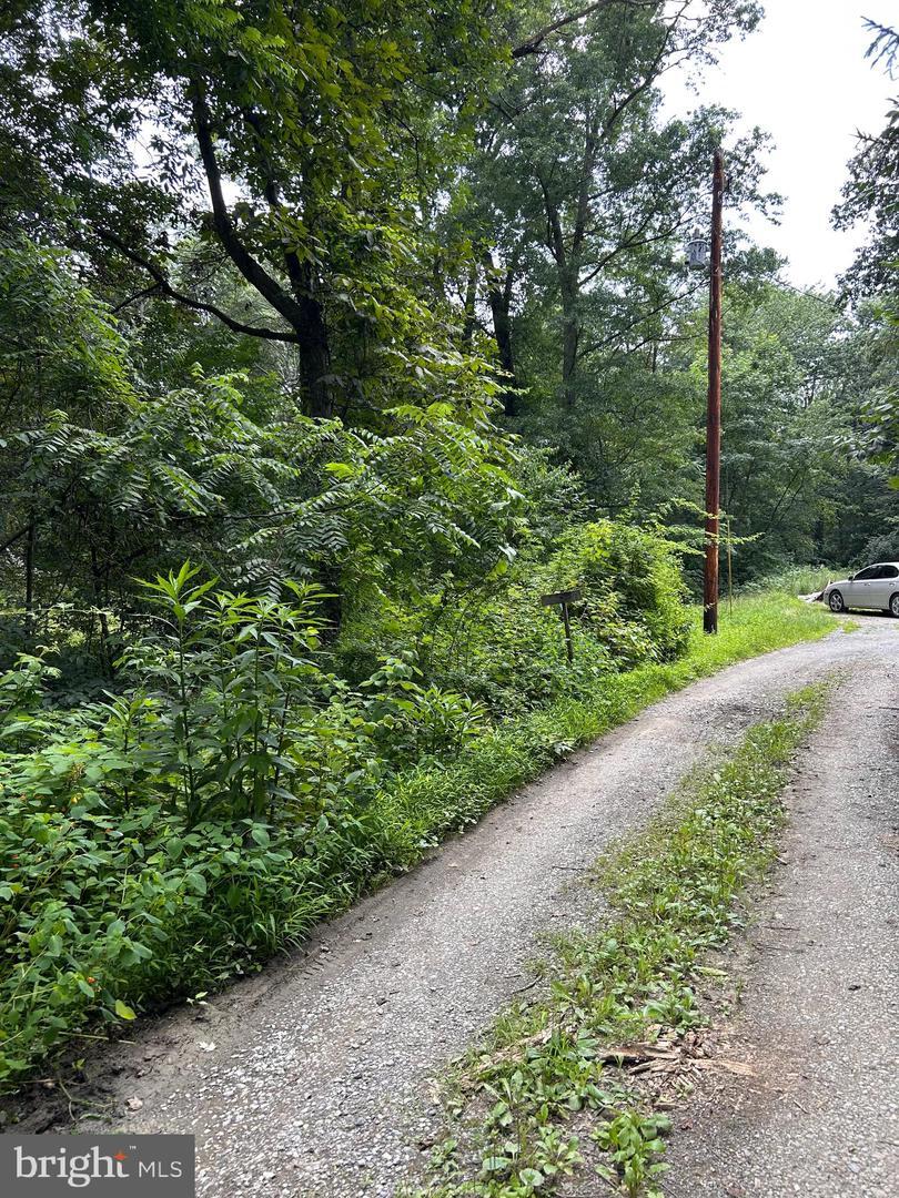 Property Photo: 0 Maclays Mill Road PA 17257