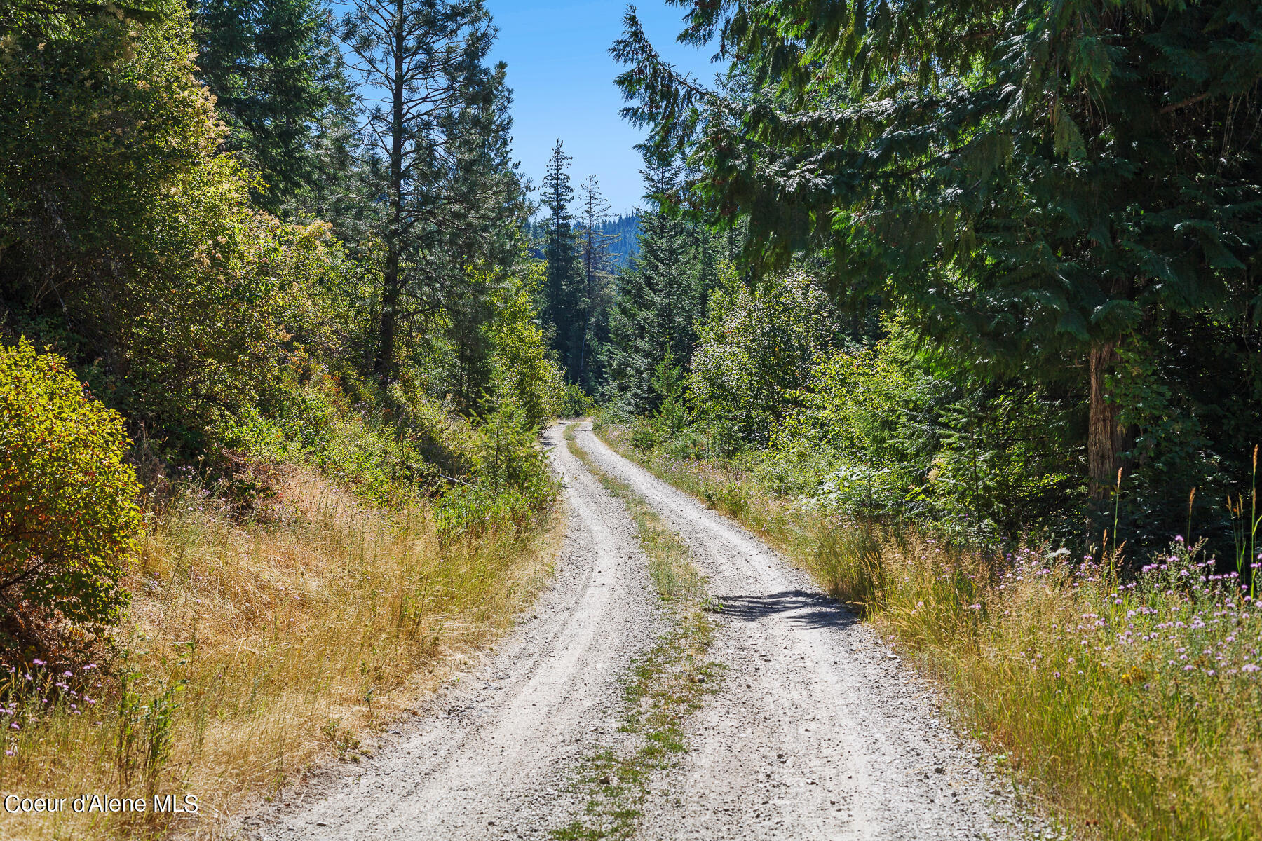 Property Photo: 3794 S Elk Rd ID 83833