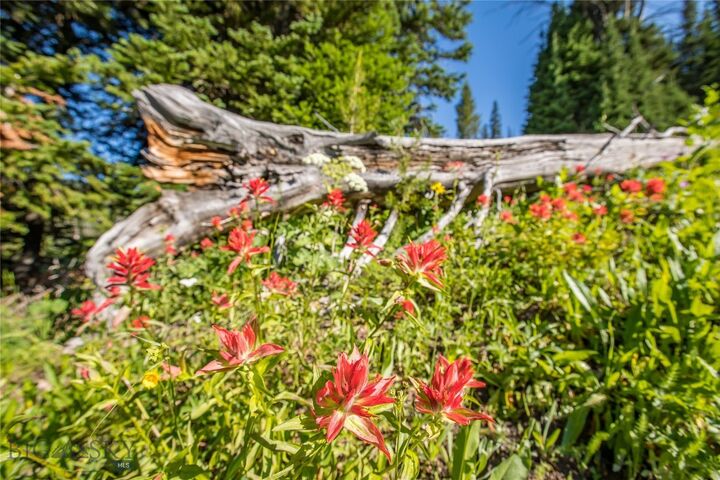 Property Photo: Lot 16 Beehive Basin Road MT 59716