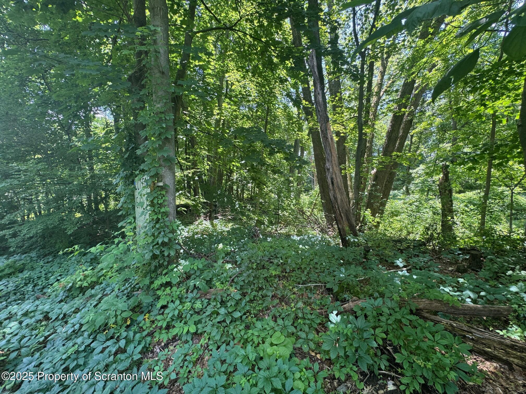 138 S Keyser Avenue  Scranton PA 18505 photo