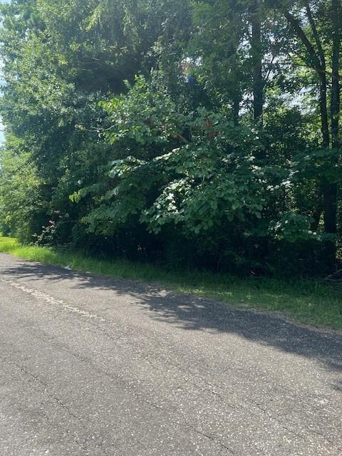 Property Photo: Lot 13 &Amp 14 Big Lake Drive TX 77351