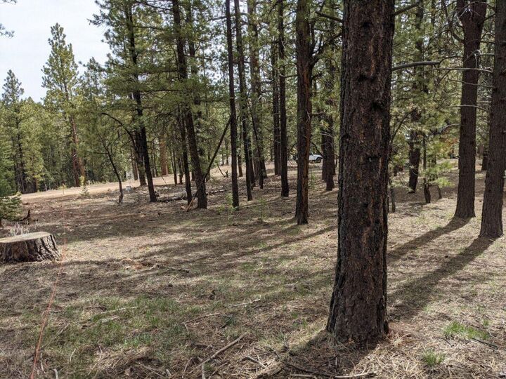 Property Photo:  695 N Debonair Dr  UT 84762 