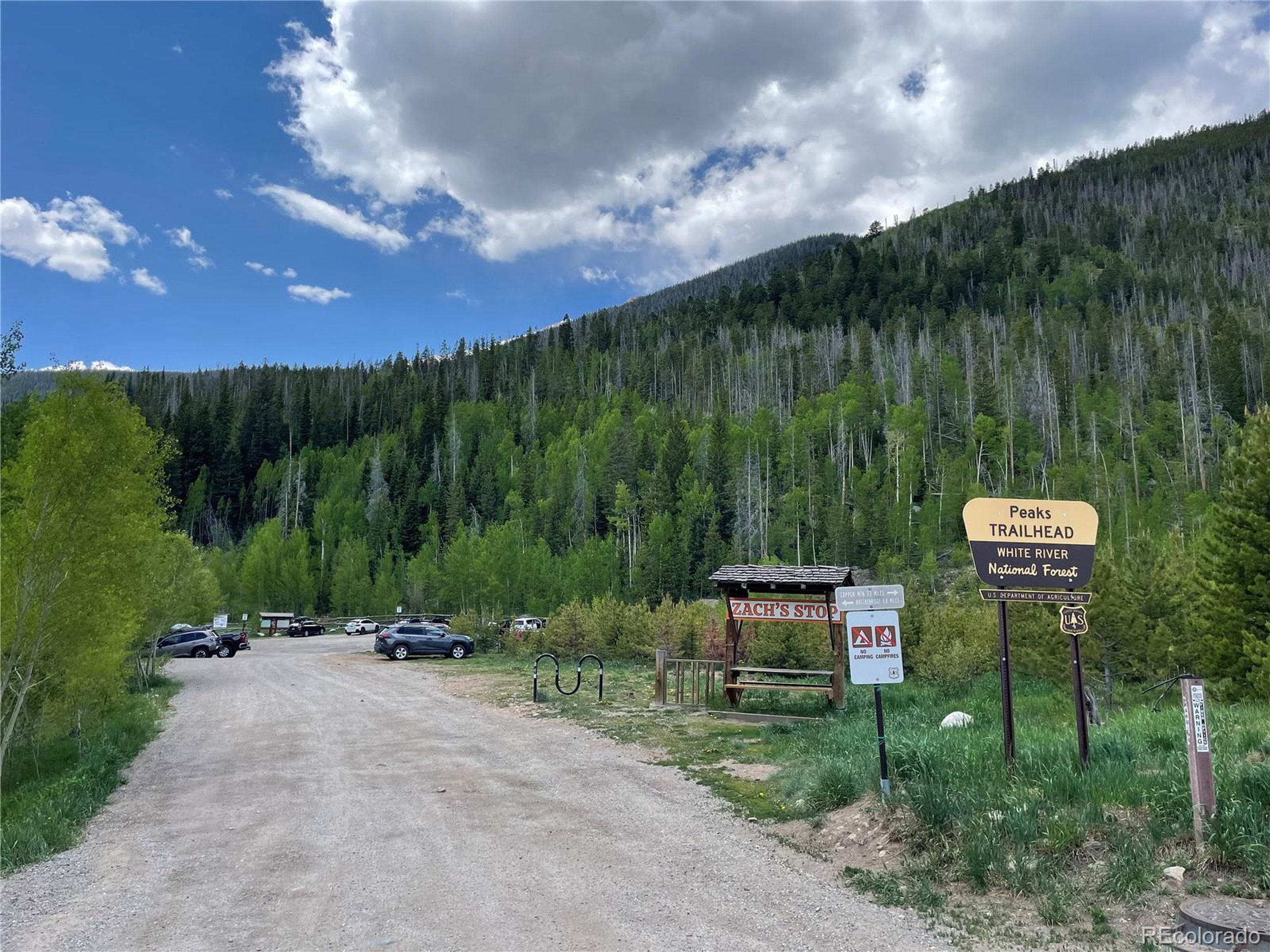 Property Photo:  216 Pitkin St 3  CO 80443 