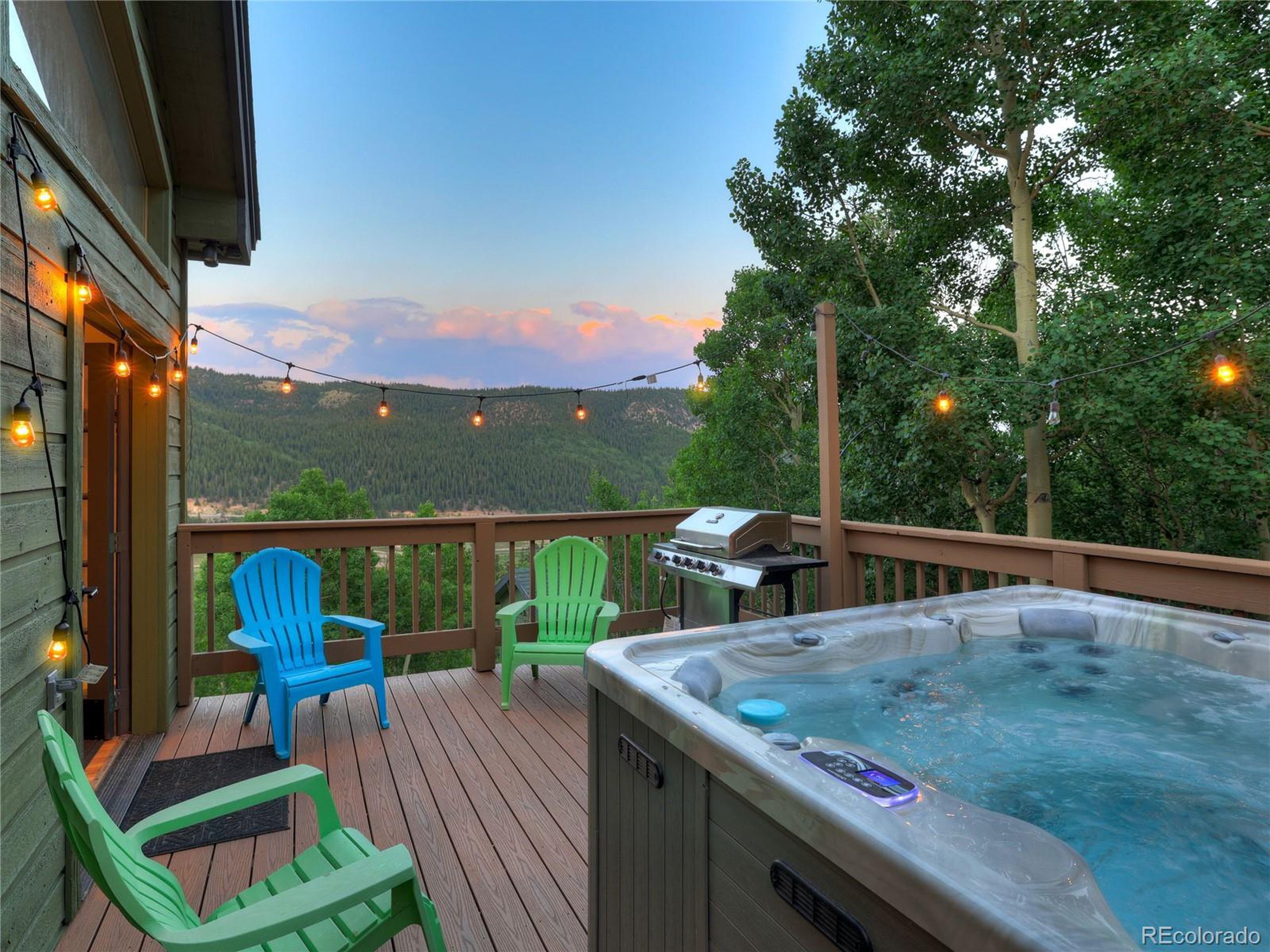Property Photo:  1095 Quartzville  CO 80440 