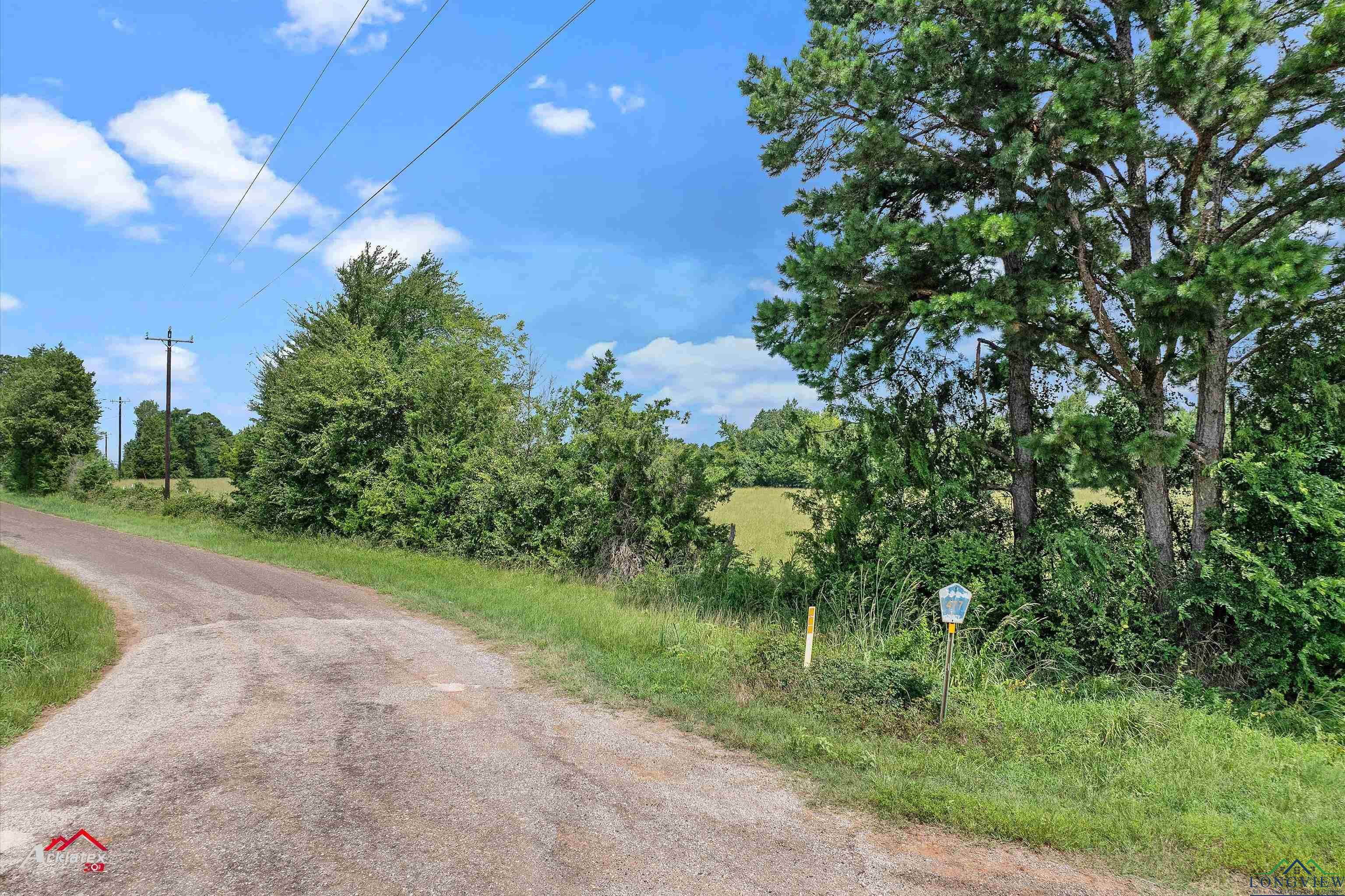 Property Photo:  Tbd Cr 477  TX 75652 