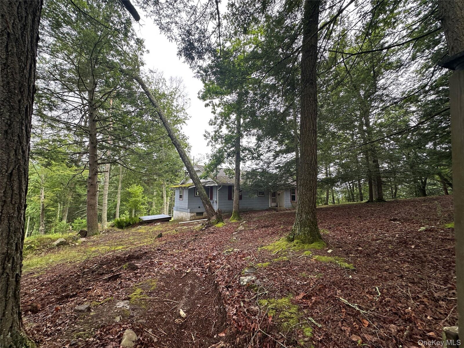 Property Photo: 2139 State Route 97 NY 12770