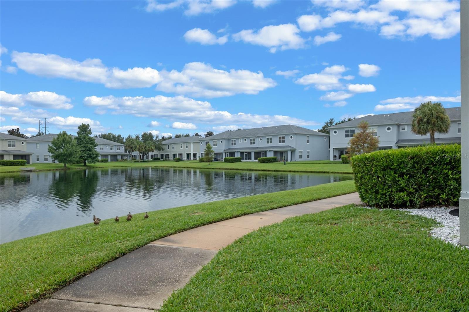 9303 Flowering Cottonwood Road 17  Orlando FL 32832 photo