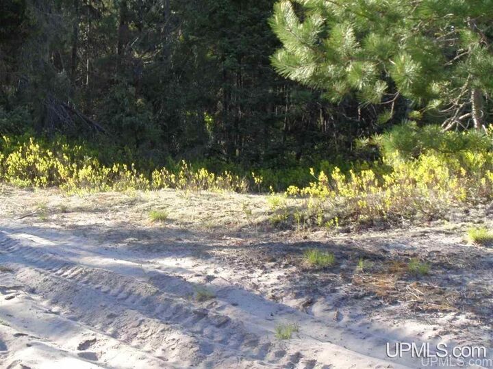 Property Photo:  51734 Rice Lake Road  MI 49945 